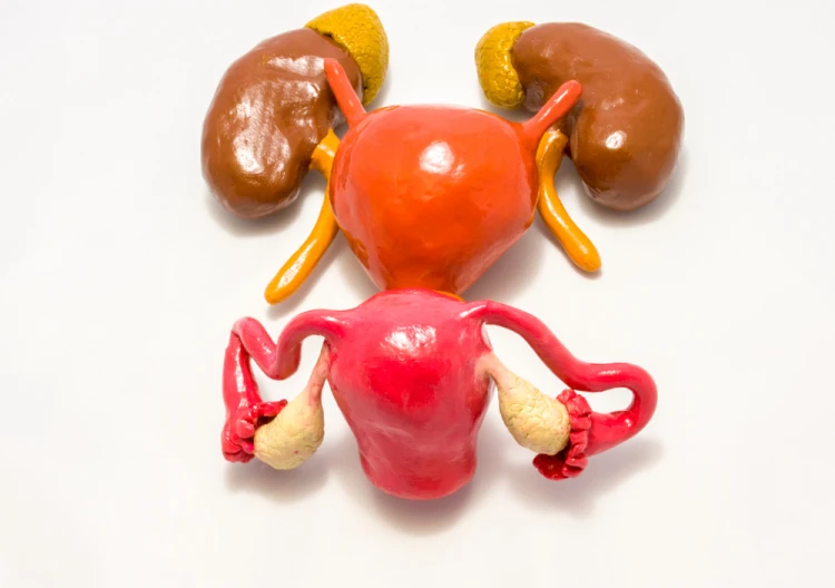 مرض الناسور البولي