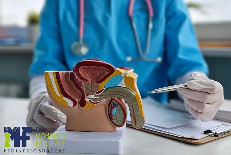 كم تستغرق عملية الخصية المعلقة للاطفال؟